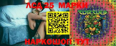 молекула духа Новозыбков