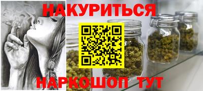 молекула духа Новозыбков