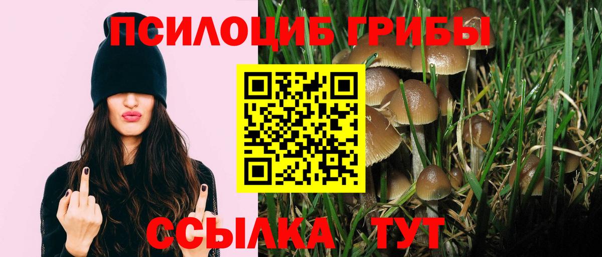 Псилоцибиновые грибы Psilocybe  цена наркотик  Сатка  Псилоцибиновые грибы прущие грибы  Вход с VPN 