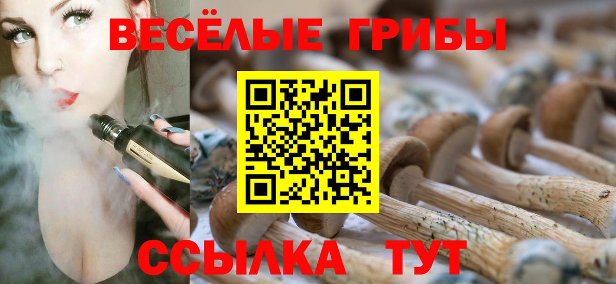 ГАШИШ Сатка